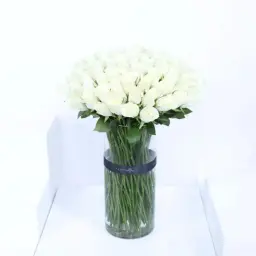 بياض الثلج
